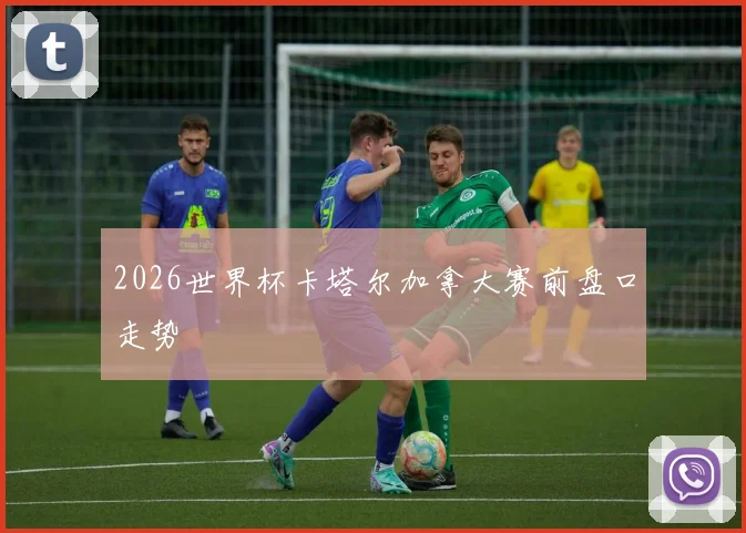 2026世界杯卡塔尔加拿大赛前盘口走势