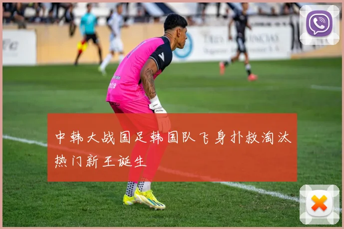 中韩大战国足韩国队飞身扑救淘汰热门新王诞生