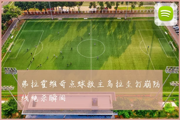 弗拉霍维奇点球救主乌拉圭打崩防线绝杀瞬间