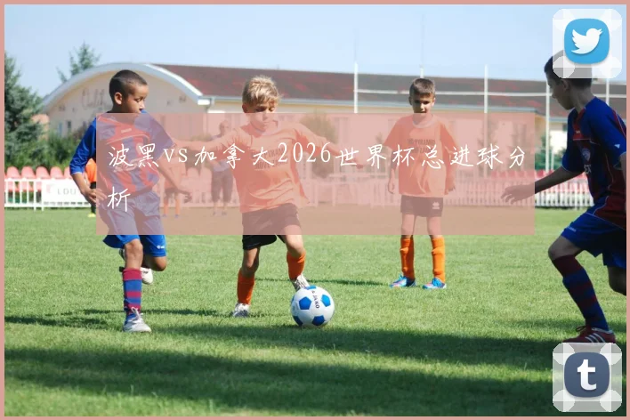波黑vs加拿大2026世界杯总进球分析