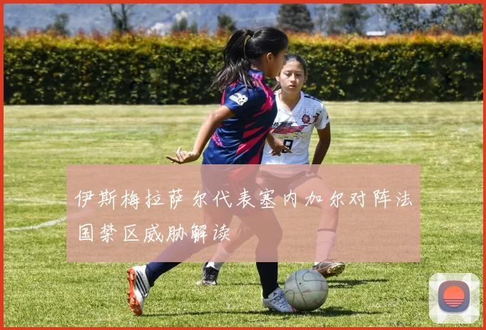 伊斯梅拉萨尔代表塞内加尔对阵法国禁区威胁解读
