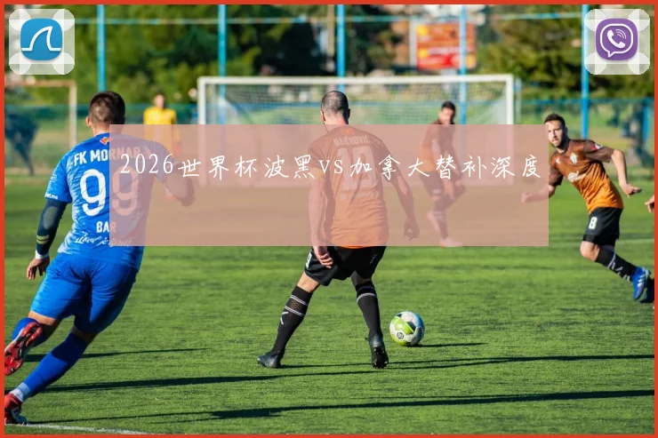 2026世界杯波黑vs加拿大替补深度