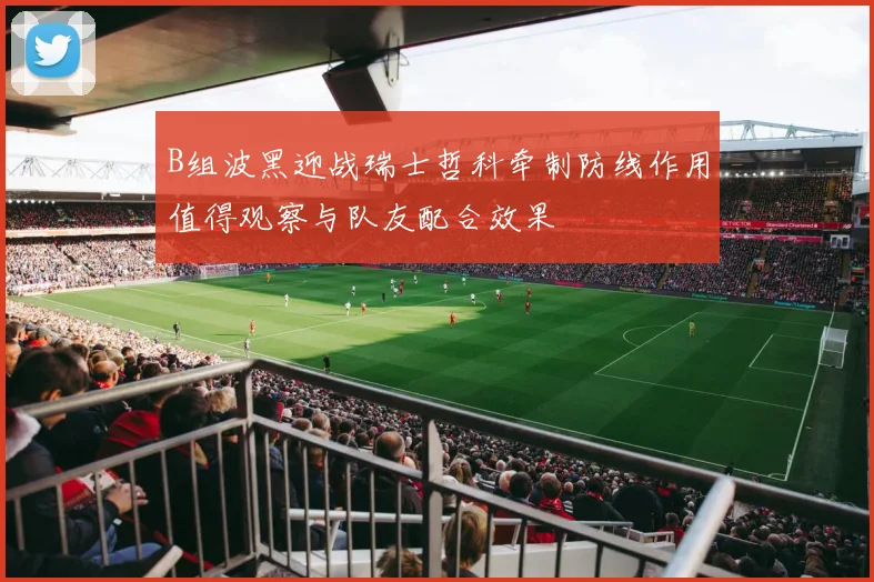 B组波黑迎战瑞士哲科牵制防线作用值得观察与队友配合效果