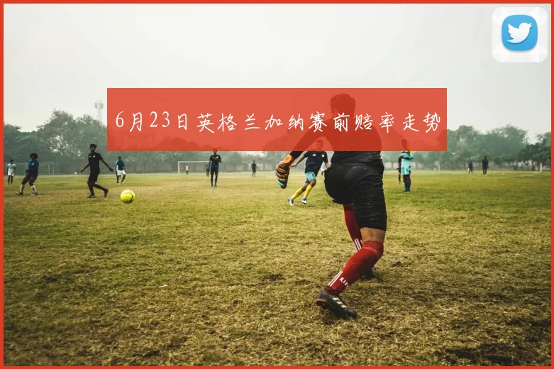 6月23日英格兰加纳赛前赔率走势