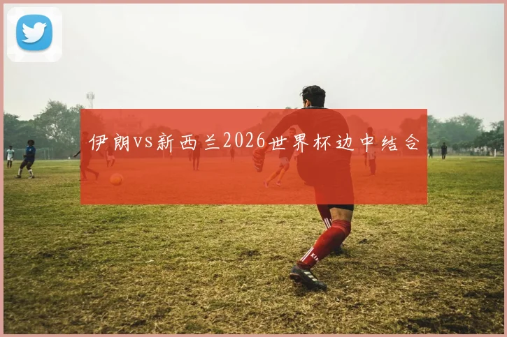 伊朗vs新西兰2026世界杯边中结合