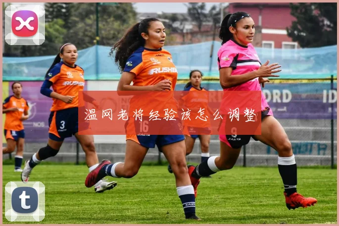 温网老将经验该怎么调整